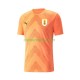Camisola Uruguai Guarda-redes Homem Equipamento Segundo Copa do Mundo 2022 Manga Curta